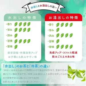 殿の朝 お茶 煎茶 水出し 100g （5g✖️20包）有機 オーガニック 静岡 お土産 高級 JAS認定 カテキン